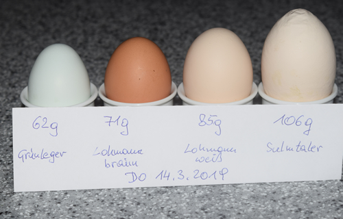 Die Palette unserer Bio-Eier