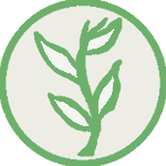 „Adventskalender: Die größte Motivation, an einem Dezembermorgen aufzustehen.“