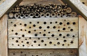 Wildbienenhotel