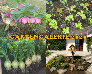 Gartengalerie 2020