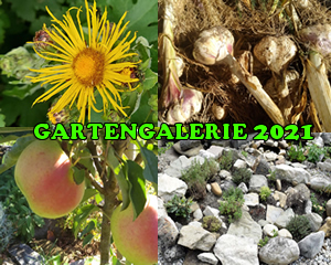 Gartengalerie 2021