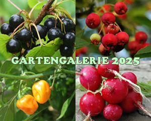 Gartengalerie 2025