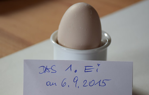 Das erste Ei