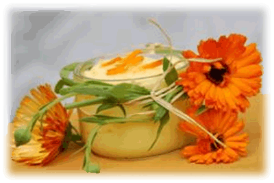 Ringelblumen Salbe
