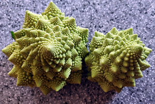 Romanesco Röschen