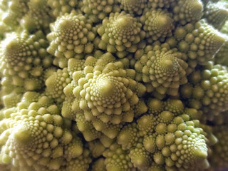 Fraktale Türmchen mit Fibonacci-Spirale