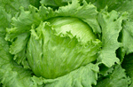 Eissalat