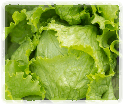 Eissalat