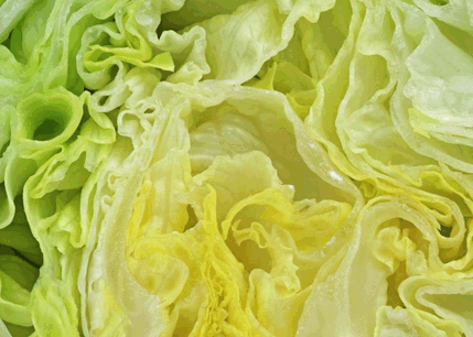 Eissalat