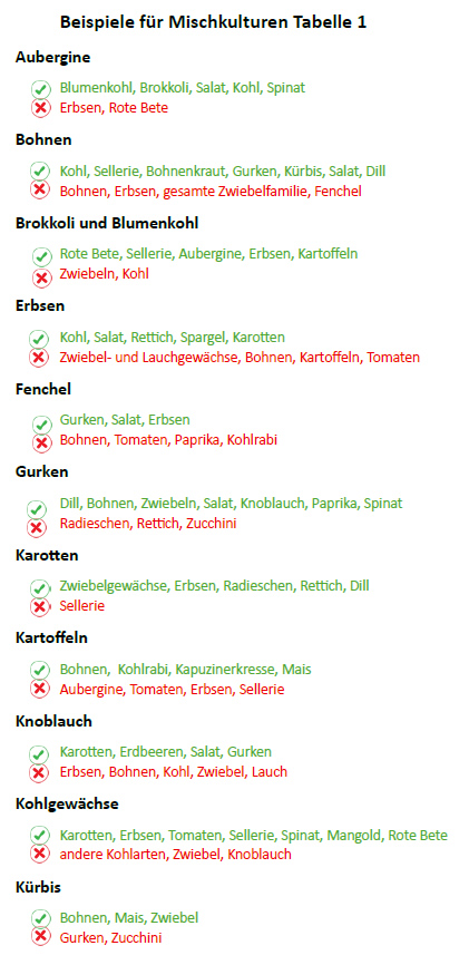 Beispiele-Mischkulturen