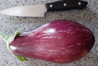 Aubergine