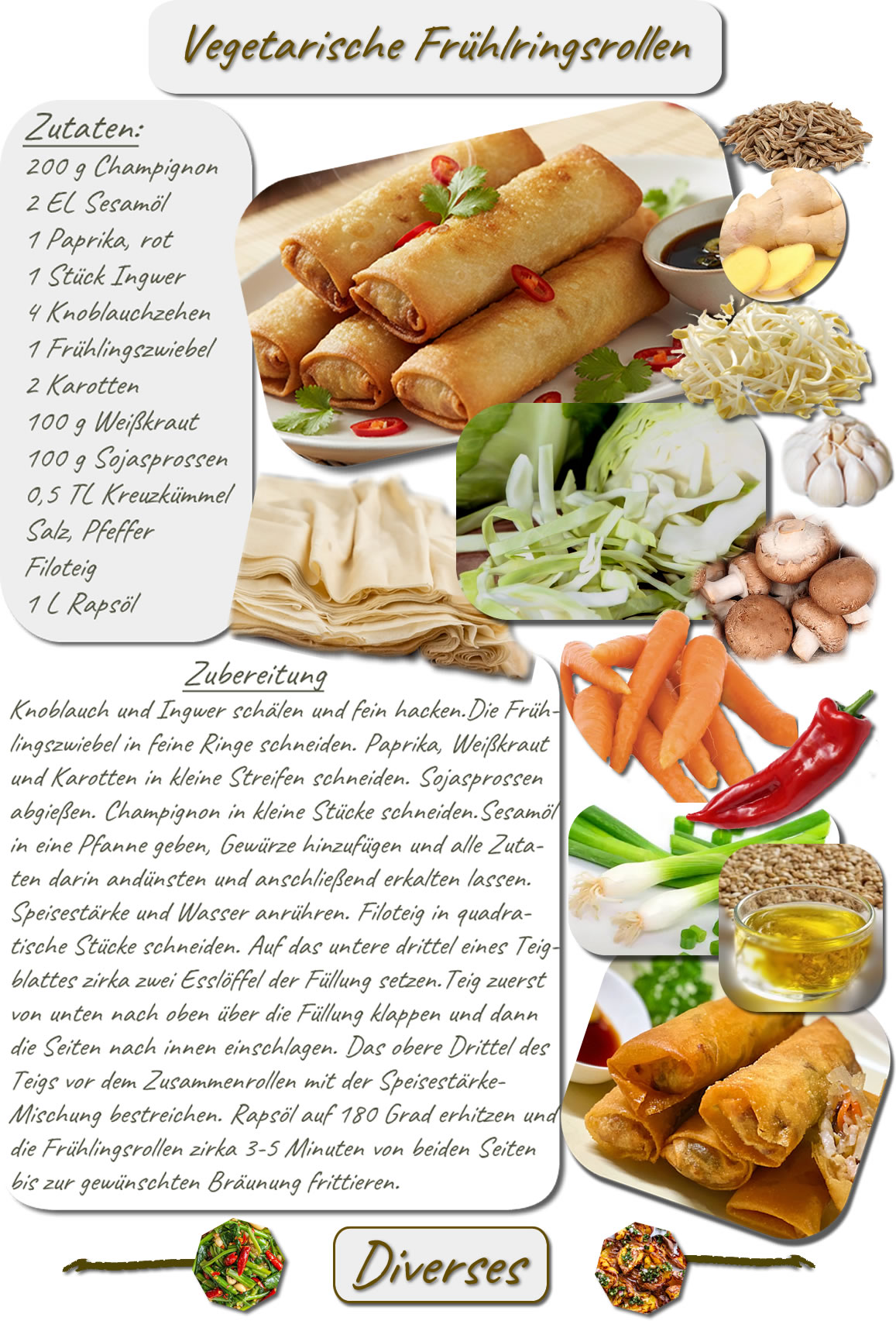 Vegetarische Frühlingsrollen