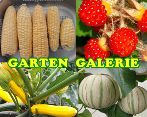 Zur Garten-Galerie