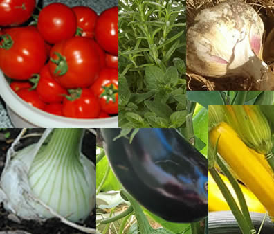 Zutaten  Cremespinat mit Röstkartoffeln und Spiegelei