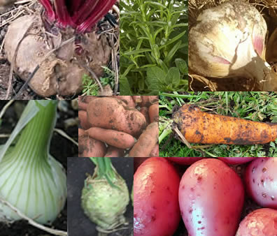 Zutaten  Cremespinat mit Röstkartoffeln und Spiegelei