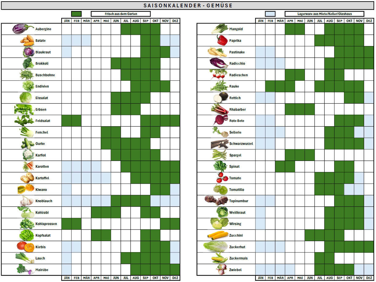 Saisonkalender Gemüse