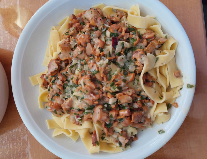 Bandnudeln mit Pilzen