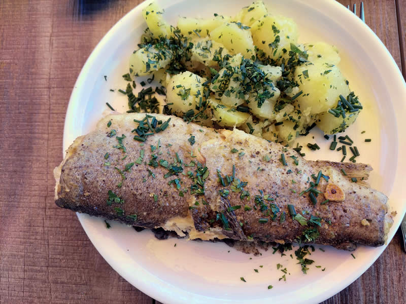 Forelle mit Petersilkartoffeln