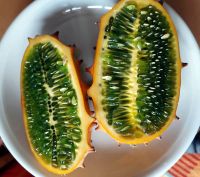 HornGurkeAufgeschnitten